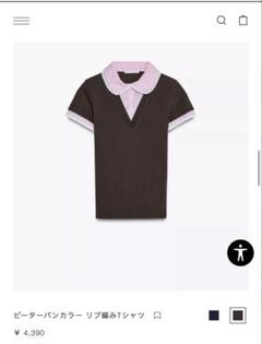 ZARA ピーターパンカラー リブ編みTシャツ 0858/307 ZARA ピーターパンカラー リブ編みTシャツ 0858/307 (ZARA/T
