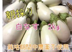 本日発送】 白なす 2キロ 詰め合わせ 白ナス - メルカリ