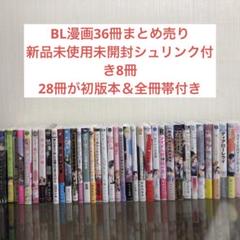 BL漫画 まとめ売り 36冊