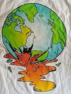 “STUSSY DESIGNS”T-shirt S