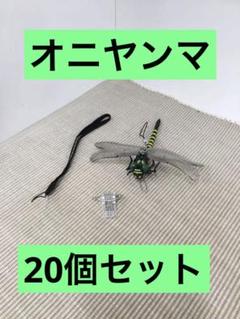 オニヤンマ科 標本 Ar 2025年最新】トンボ 標本の人気アイテム - メルカリ