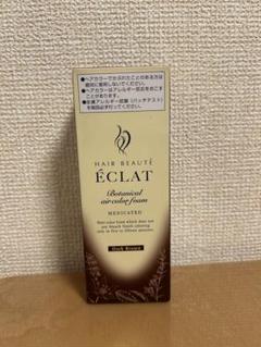 新品未使用HAIRBEAUTE ÉCLATエアカラー ダークブラウン80g