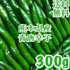 トミー✴︎様専用 生青唐辛子300g【送料無料】