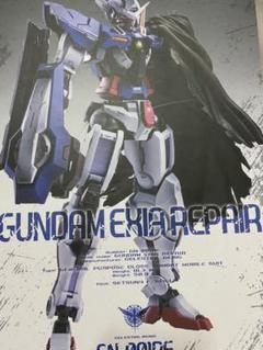 ホーク姉妹様専用 メタルビルド エクシアリペア metal build