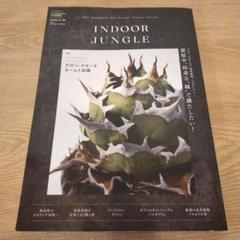INDOORJUNGLE  2023年11月号