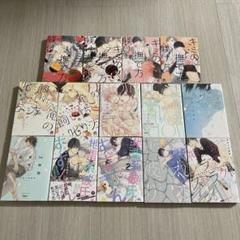 かさいちあき　BL　9冊セット BL】漫画 かさいちあき 顔がいいから全部ゆるす！ - メルカリ