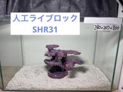 2025年最新】ライブロックレプリカの人気アイテム - メルカリ