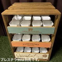６段トレー　多肉植物棚　木製プランター　多肉棚　トレー　アガベ　斑入り　韓国苗 6段トレー 多肉植物棚 木製プランター 多肉棚 トレー アガベ