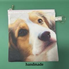 数量限定品❣️激レアパネル噂のデコピン君犬種コーイケルホンデイエ両面フラットポーチ