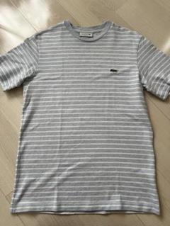 LACOSTE ストライプ Tシャツ US S ラコステJP M