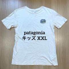パタゴニア XXL 16-18 半袖 キッズ