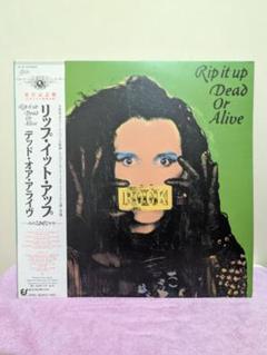 レア！デッド・オア・アライブ／Rip It Up 1987 ツアーパンフレット レア！デッド・オア・アライブ／Rip It Up 1987 ツアー