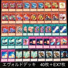 遊戯王 エヴォルドデッキ 40枚+EX7枚
