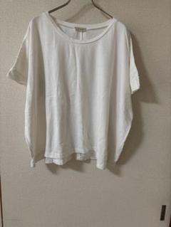 SALAMO NAT ソラモナ　　Tシャツ