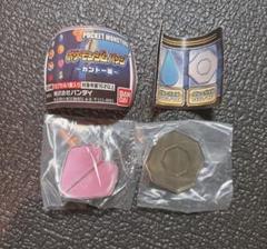 ポケモン ジムバッジ カントー
