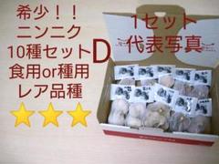 レア ニンニク 希少 10種セットD 貴重 伝統 在来種 珍しい 入手難 珍種
