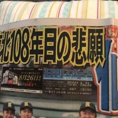 日刊スポーツ2022年8月23日のサムネイル