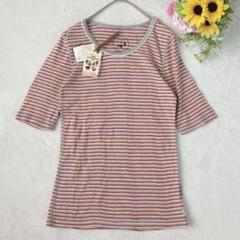 未使用タグ付き　コットン100% 半袖Tシャツ　ボーダー柄クルーネック　Fサイズ