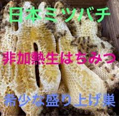 ラスカル様専用 幻の盛り上げ巣 日本ミツバチ 非加熱生はちみつ