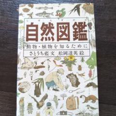 自然図鑑　動物・植物を知るために