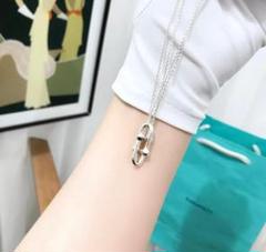 極美品Tiffany & Coダブルペンダントネックレス