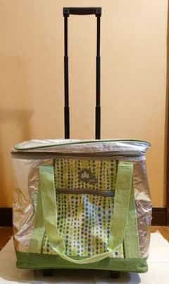 Logos ロゴス アウトドア Insul1 ソフトクーラー 35l クーラーボックス 保冷 ランチバッグ お弁当袋 バッグ 手提げの中古 未使用品を探そう メルカリ