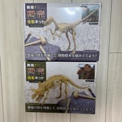2025年最新】トリケラトプス化石の人気アイテム - メルカリ