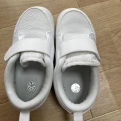 ASICS ホワイト スニーカー ベルクロ
