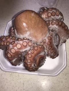 捕れたて地蛸浜茹で1匹丸ごと(1260g)