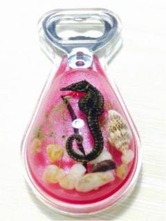 タツノオトシゴ 乾燥標本 4匹セット タツノオトシゴ♡乾燥 標本 - メルカリ