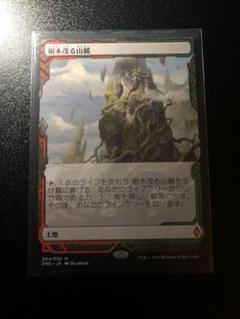 MTG 樹木茂る山麓 エクスペディション
