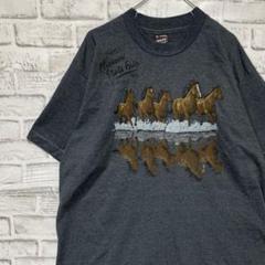 USA製90sヴィンテージTシャツ！シングルステッチ　グレー半袖古着　XL78