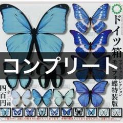 2025年最新】ヘレナモルフォの人気アイテム - メルカリ