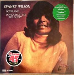 Spanky Wilson Doin' It LP 米オリジナル レアグルーヴ Spanky Wilson Doin' It LP 米オリジナル レアグルーヴ