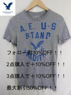 プロフ必読アメリカンイーグルU.S霜降りTシャツ/S