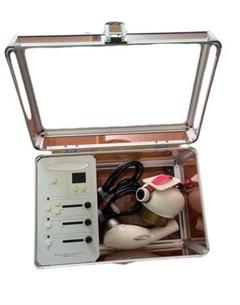 ブランシュローズ　超音波美容機器 ブランシュローズ 超音波 & イオン 導入 総合美容器 プチ エステ
