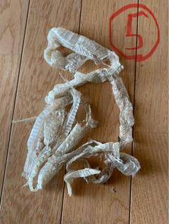 白蛇の抜け殻 約90cm - メルカリ