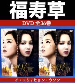 福寿草 DVD 全36巻 イ・ユリ / ヒョン・ウソン