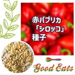 【同梱で50円値引き】赤 パプリカ シロッコ 種子 30個のサムネイル