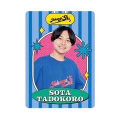 ジャニーズjr 田所 蒼大　プロフィールカード　公式写真 m88526640415_1.jpg?1724312509