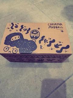 羅本製所 Copiapoa Mudball Blind box 6個セット