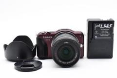 ショット数9200回 LUMIX DMC-GF5 レンズセット 充電器付き