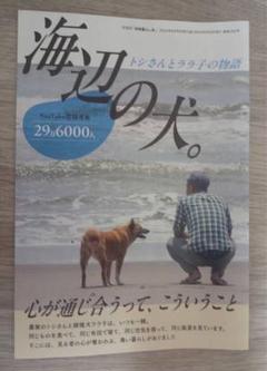 2025年最新】田舎暮らしの本 8月号 海辺の犬の人気アイテム