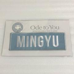 ウォヌ SEVENTEEN ネーム バッチ ワッペン Ode to you 駿河屋 -<中古>ウォヌ ワッペンバッジ＆ピンバッジセット