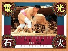 宇良 柔らか表面 缶バッジ 4個セット 大相撲 大相撲 宇良 缶バッジくじ（7月名古屋場所） - メルカリ