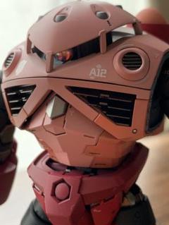 rg シャア専用ズゴック　全塗装完成品
