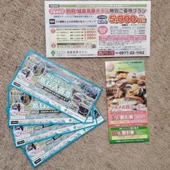 城島後楽園 入園チケット4枚