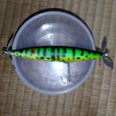 2025年最新】heddon DYING FLUTTERの人気アイテム - メルカリ