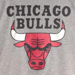Tシャツ グレー プロチーム NBA ブルズ XLサイズ ギルダン