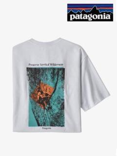 patagonia Pocket Responsibili-Tee